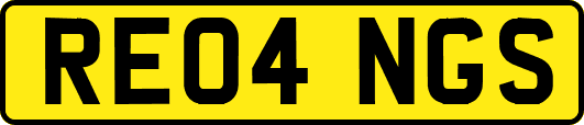 RE04NGS