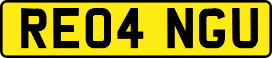 RE04NGU