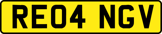 RE04NGV
