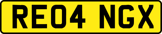 RE04NGX