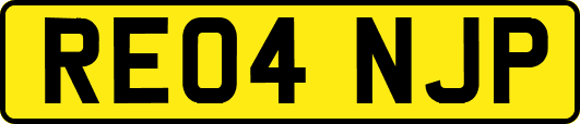 RE04NJP