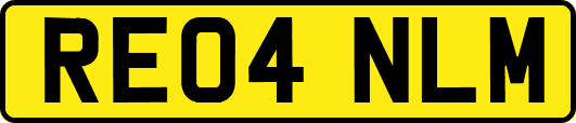 RE04NLM