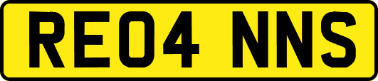 RE04NNS