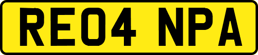 RE04NPA