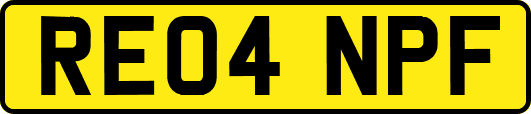 RE04NPF