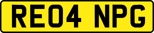RE04NPG