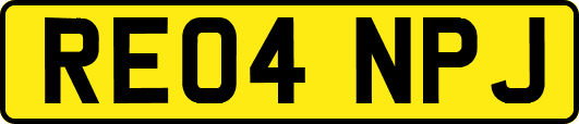 RE04NPJ
