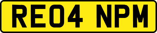 RE04NPM