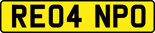 RE04NPO