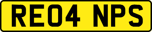 RE04NPS