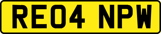 RE04NPW