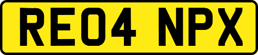 RE04NPX