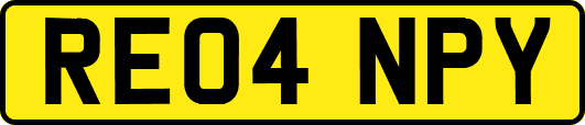 RE04NPY