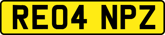 RE04NPZ