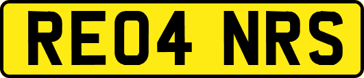 RE04NRS