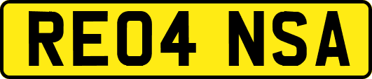 RE04NSA