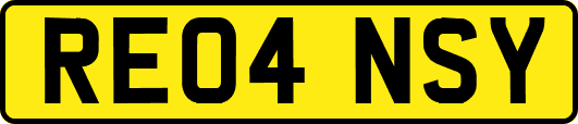 RE04NSY