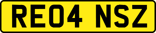 RE04NSZ