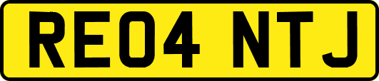 RE04NTJ