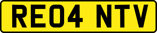 RE04NTV