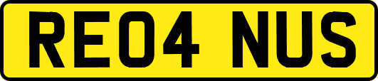 RE04NUS