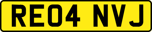 RE04NVJ