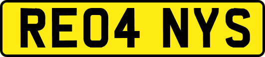 RE04NYS