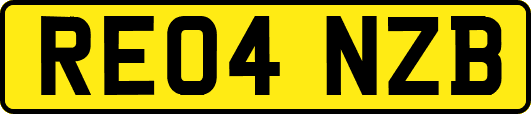 RE04NZB