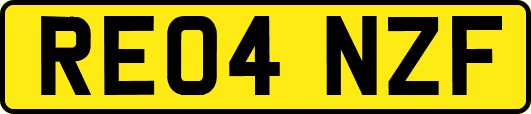 RE04NZF