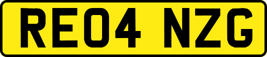RE04NZG