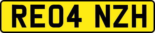 RE04NZH