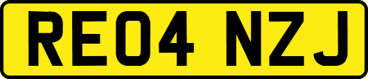 RE04NZJ