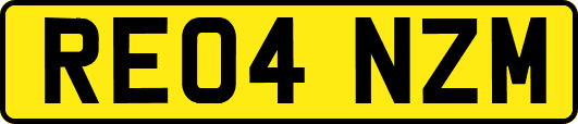 RE04NZM