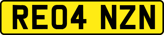 RE04NZN