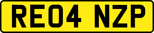 RE04NZP