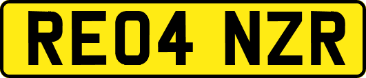 RE04NZR