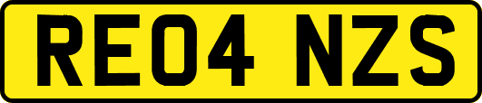 RE04NZS