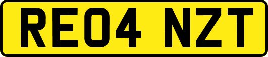 RE04NZT