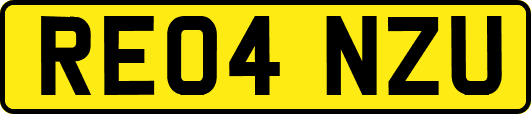 RE04NZU