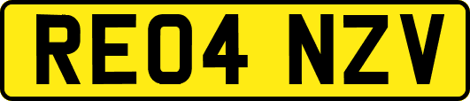 RE04NZV