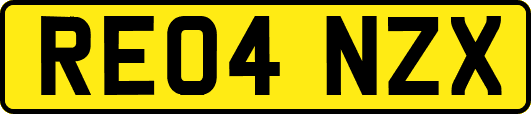 RE04NZX