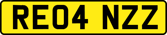 RE04NZZ