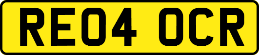 RE04OCR