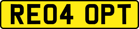 RE04OPT