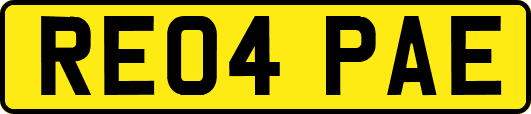 RE04PAE