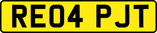 RE04PJT