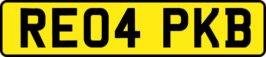 RE04PKB