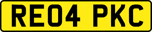 RE04PKC