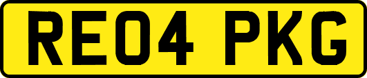 RE04PKG