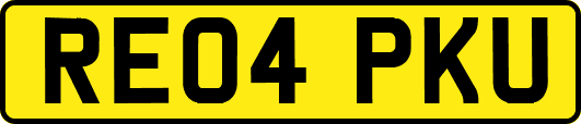 RE04PKU